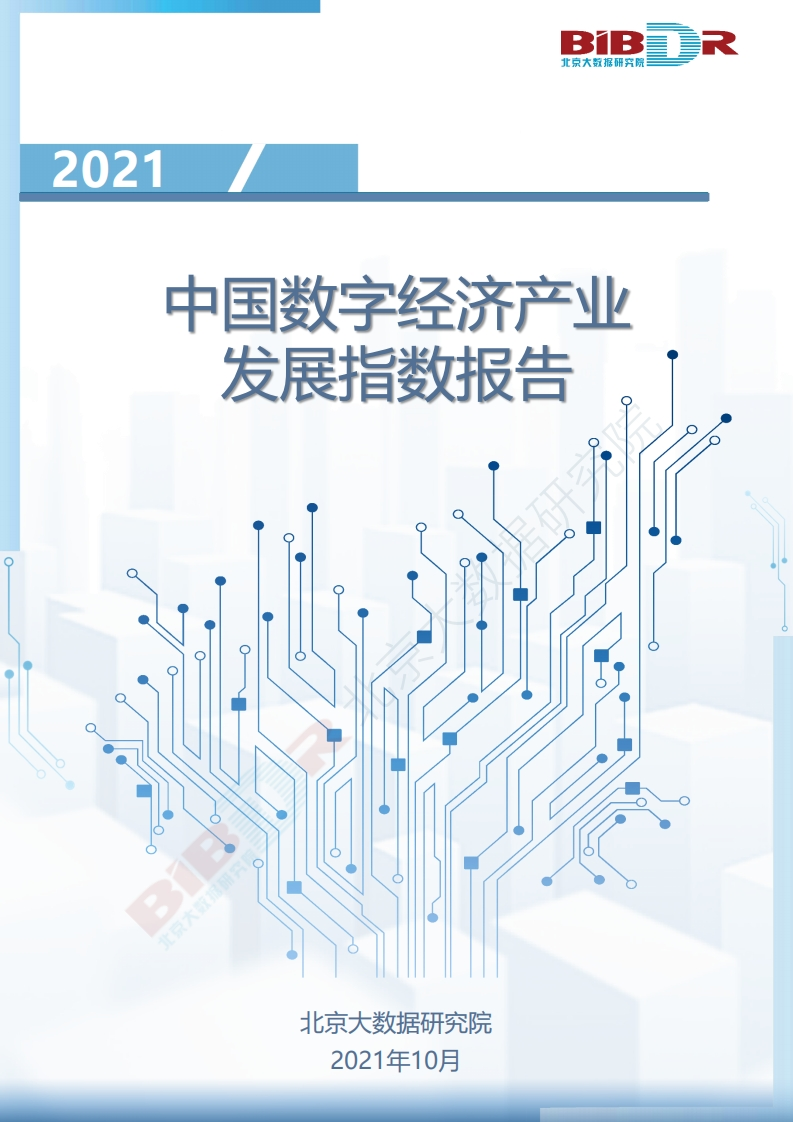2021中国数字经济产业发展指数报告-24页