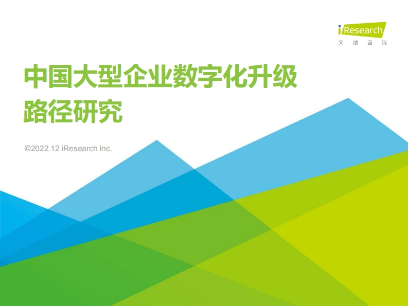 2022年中国大型企业数字化升级路径研究
