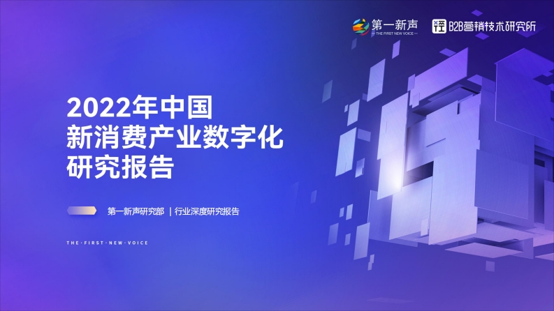 2022年中国新消费产业数字化研究报告