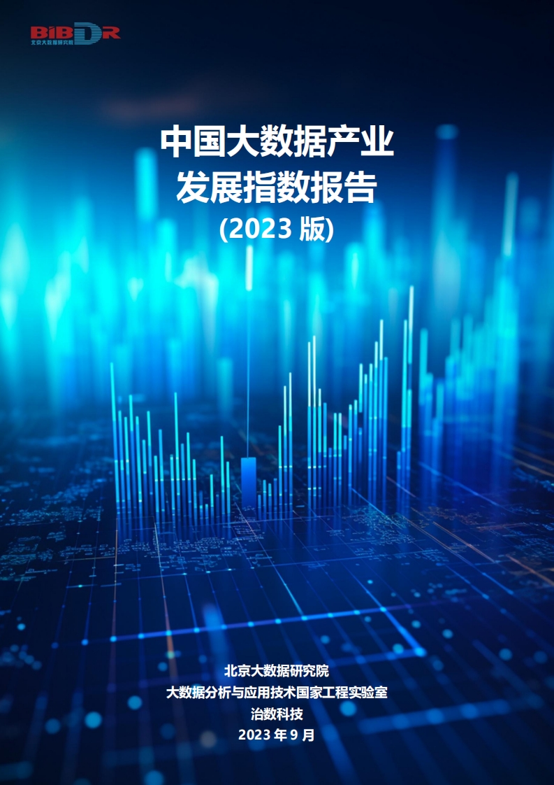 2023中国大数据产业发展指数报告