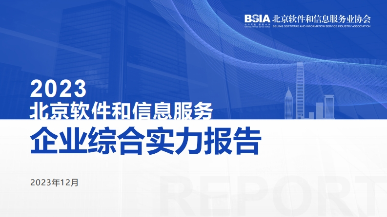 2023北京软件和信息服务企业综合实力报告