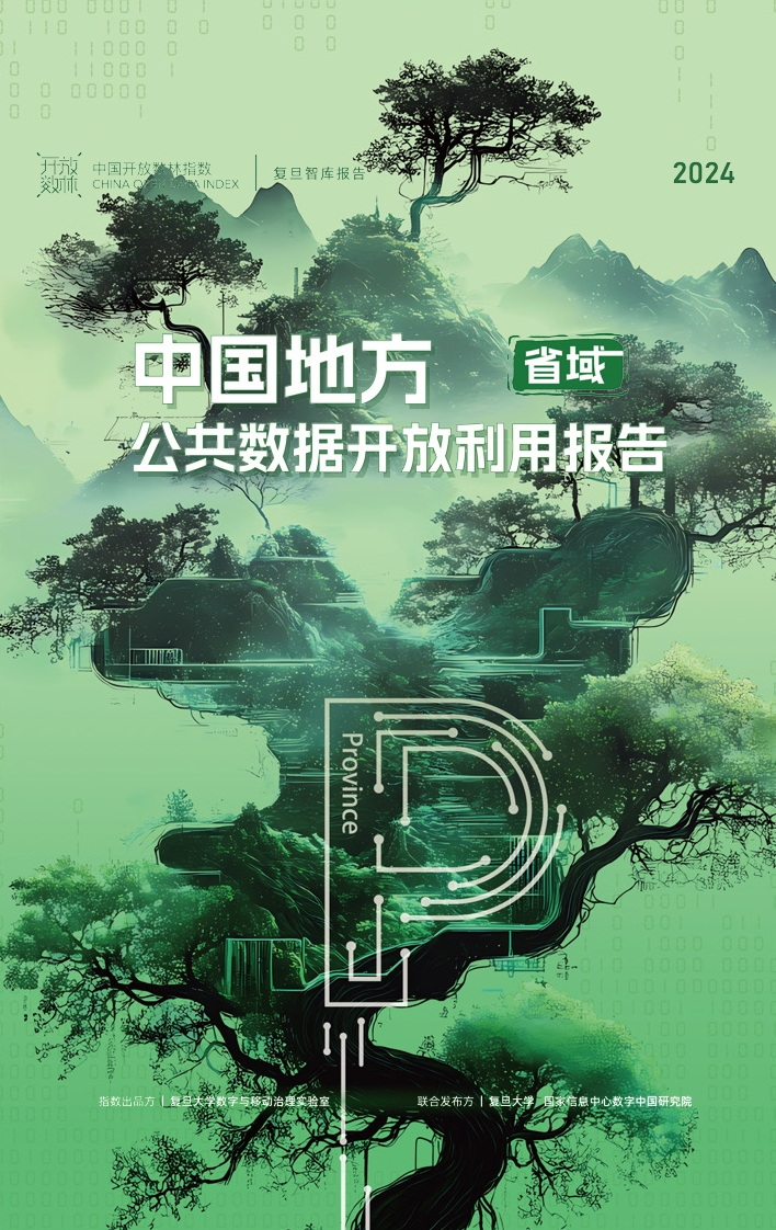 2024中国地方（省域）公共数据开放利用报告