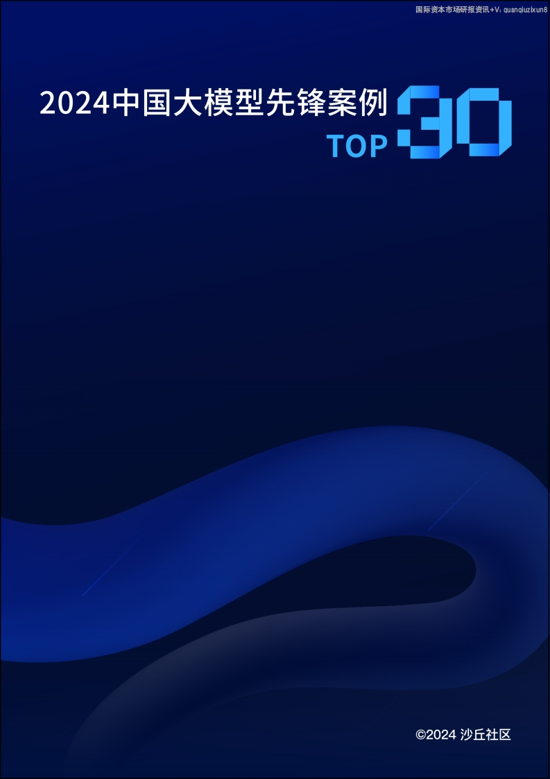 2024中国大模型先锋案例TOP30