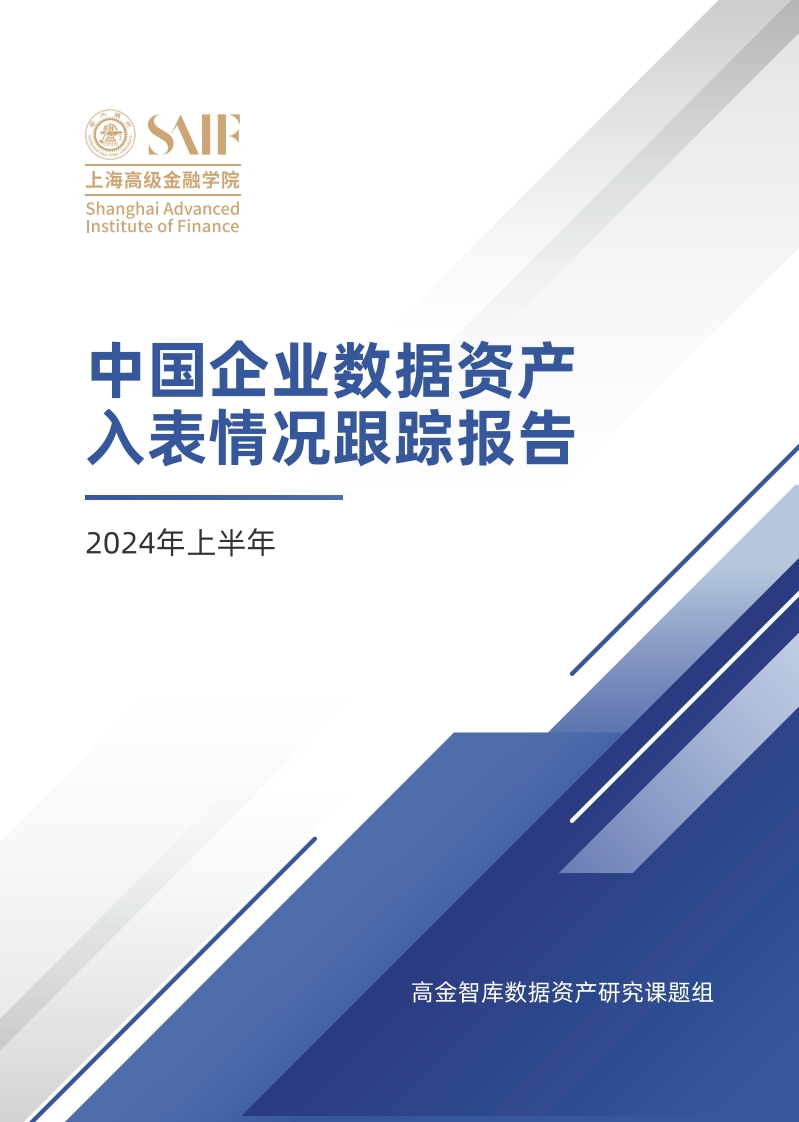 2024年上半年中国企业数据资产入表情况跟踪报告