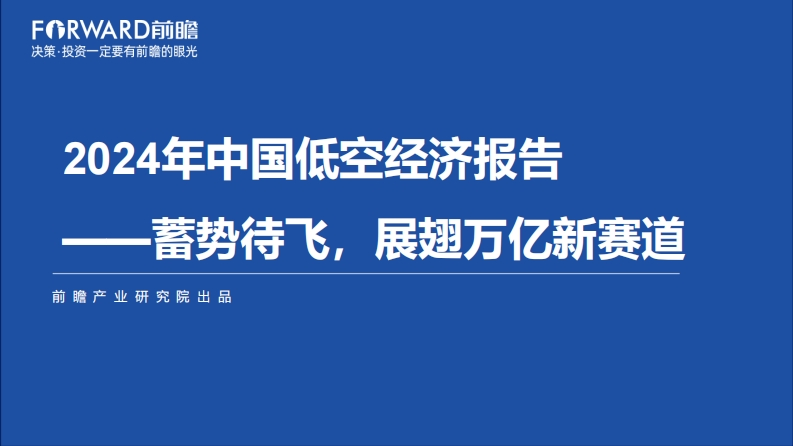 2024年中国低空经济报告