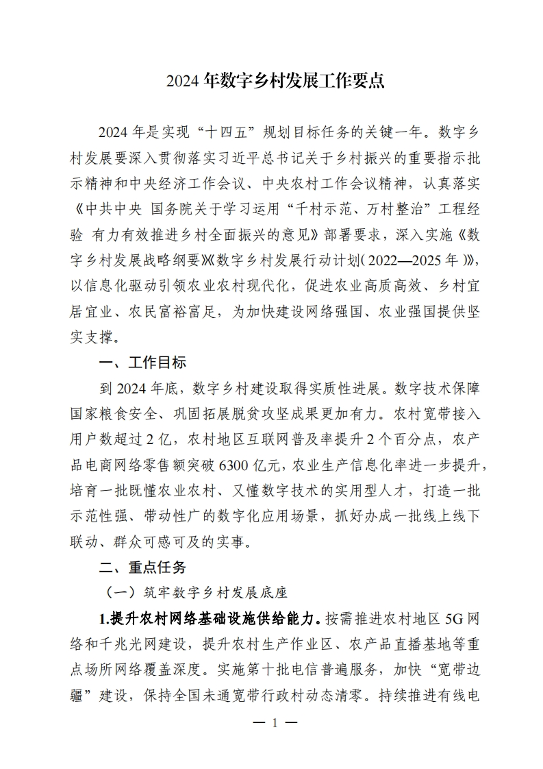 2024年数字乡村发展工作要点
