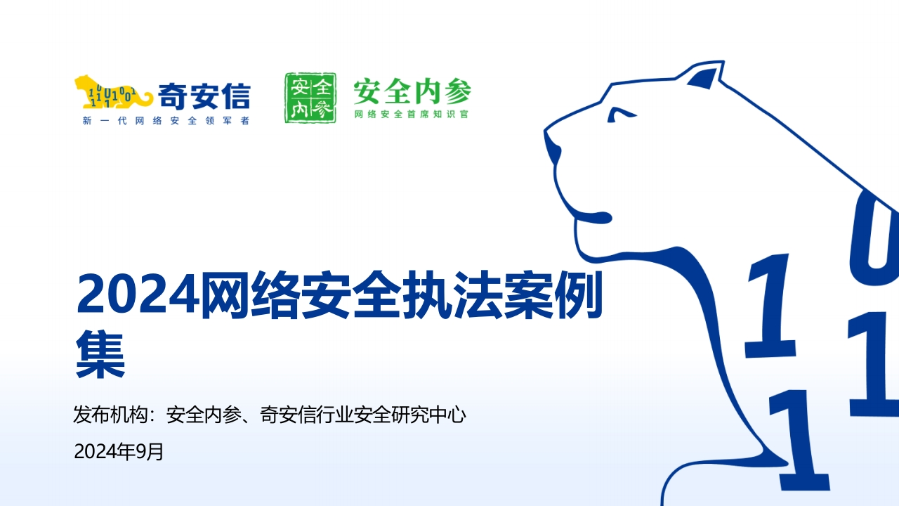2024网络安全执法案例集