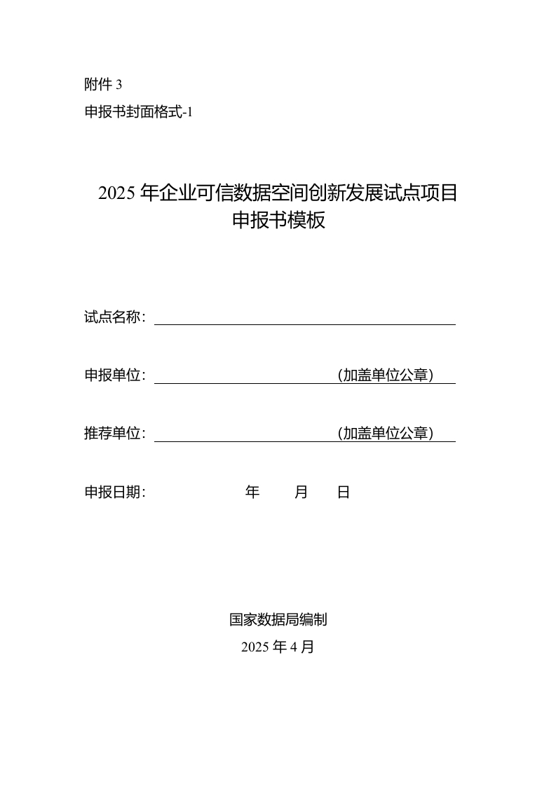 2025年企业可信数据空间创新发展试点项目申报书模板
