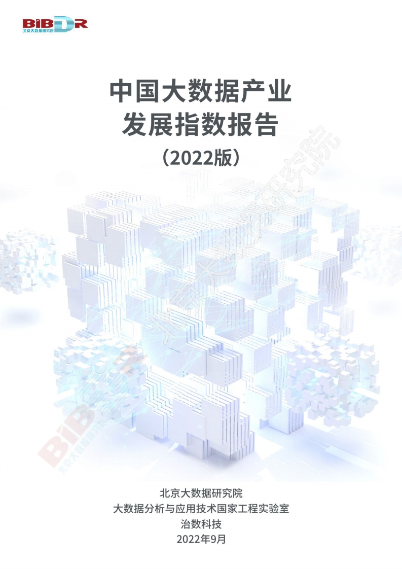 60764-中国大数据产业发展指数报告（2022年）