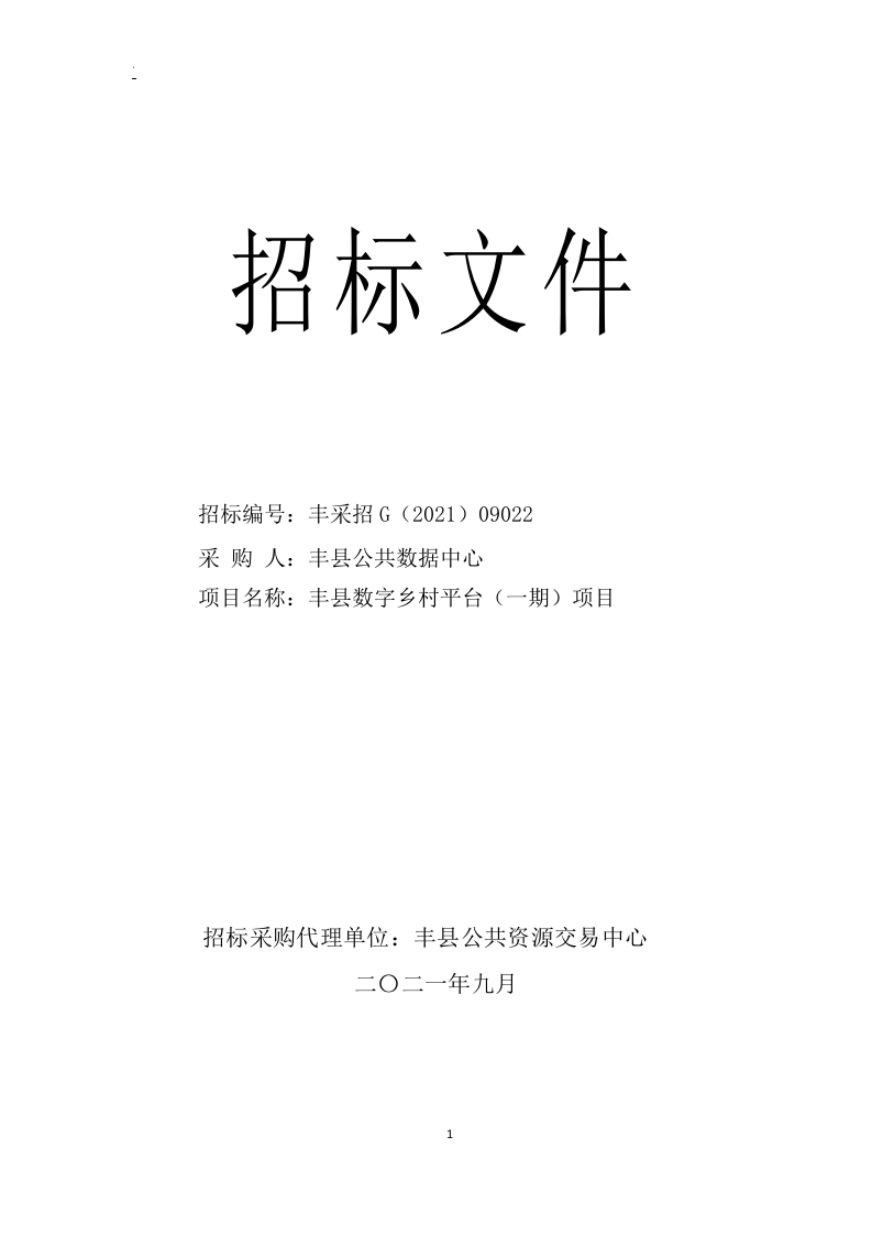 620万-丰县数字乡村平台（一期）项目