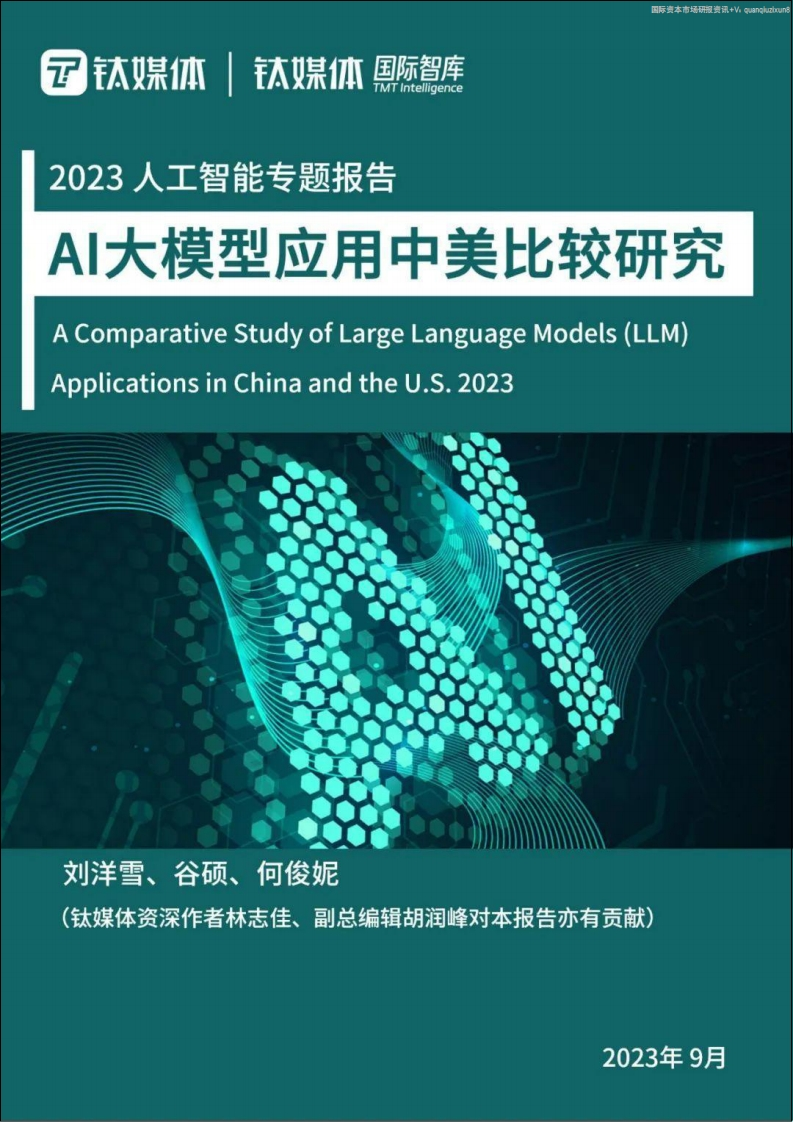 AI大模型应用中美比较研究