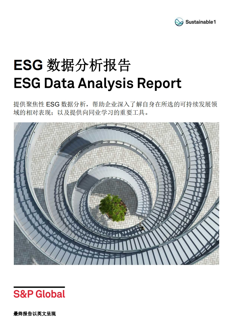 ESG-数据分析报告-S-P