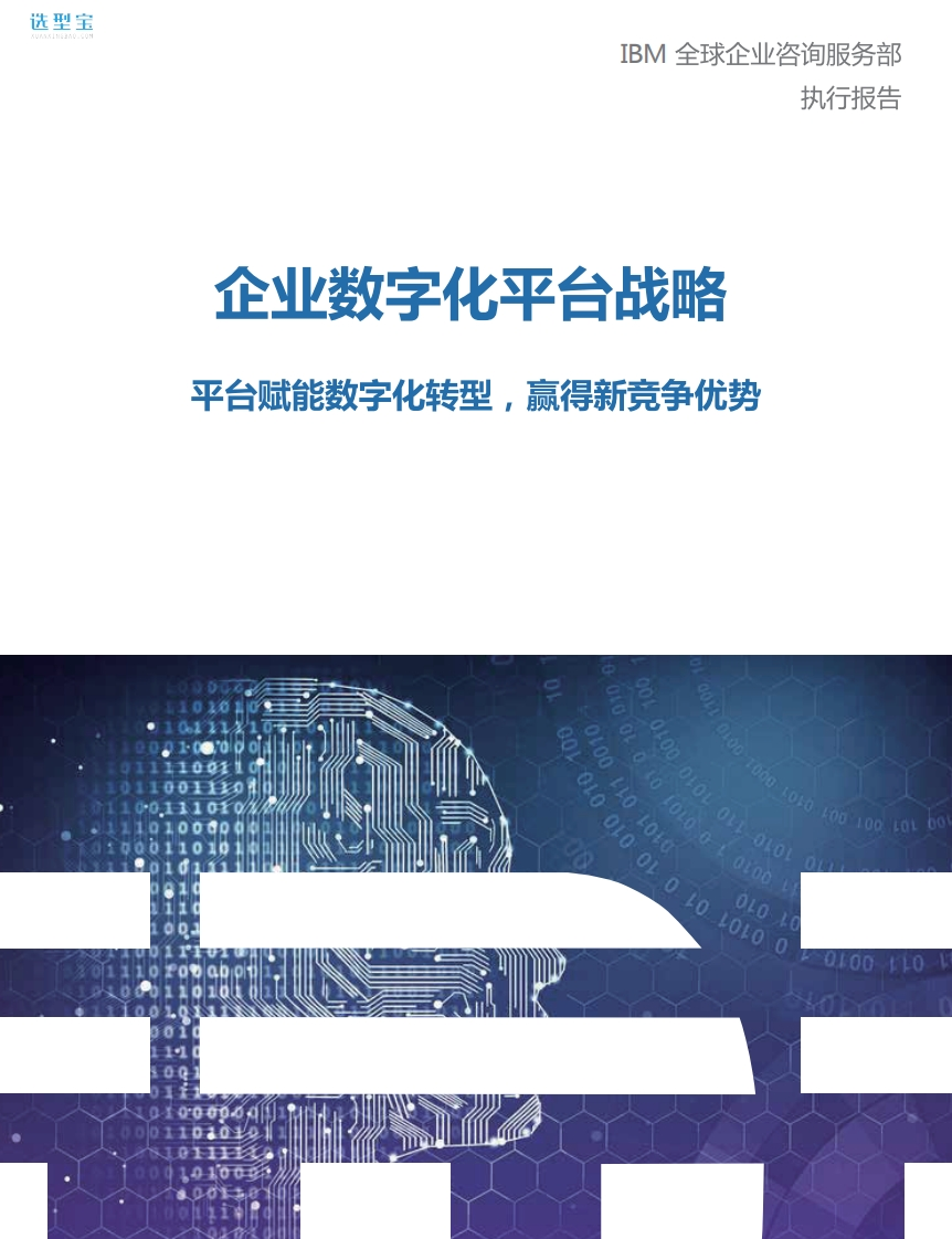 IBM企业数字化平台战略