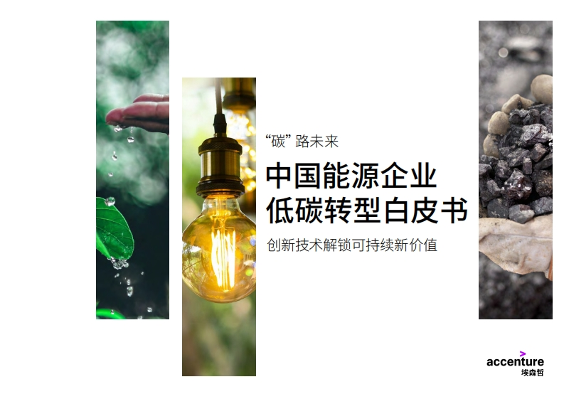_能源数字化专题：中国能源企业低碳转型白皮书