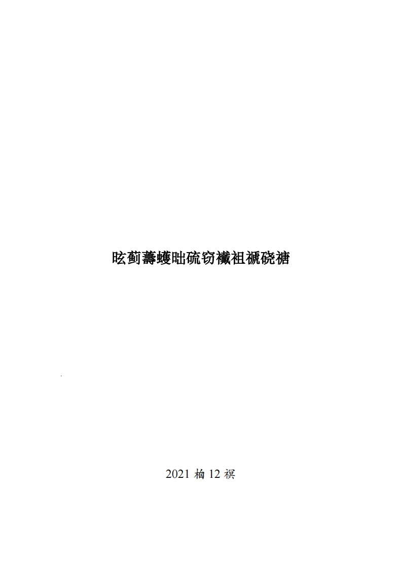 “十四五”国家信息化规划