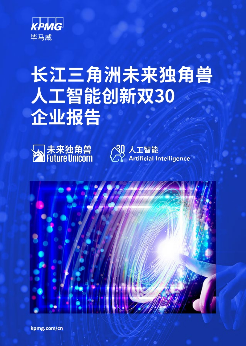 《毕马威：2023长江三角洲未来独角兽人工智能创新双30企业报告》(6)