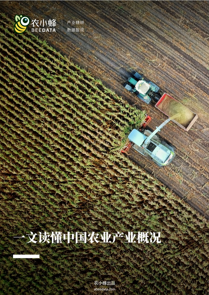 一文读懂中国农业产业概况
