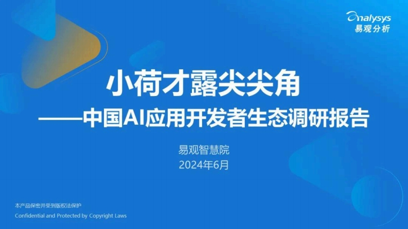中国AI应用开发者生态调研报告易观2024-6