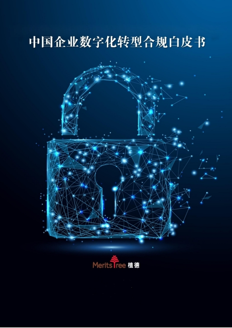 中国企业数字化转型合规白皮书