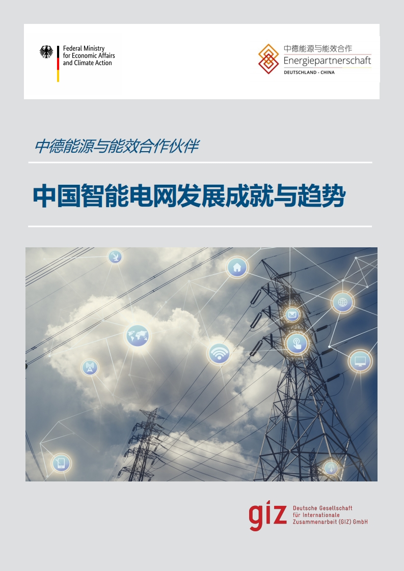 中国智能电网发展成就与趋势