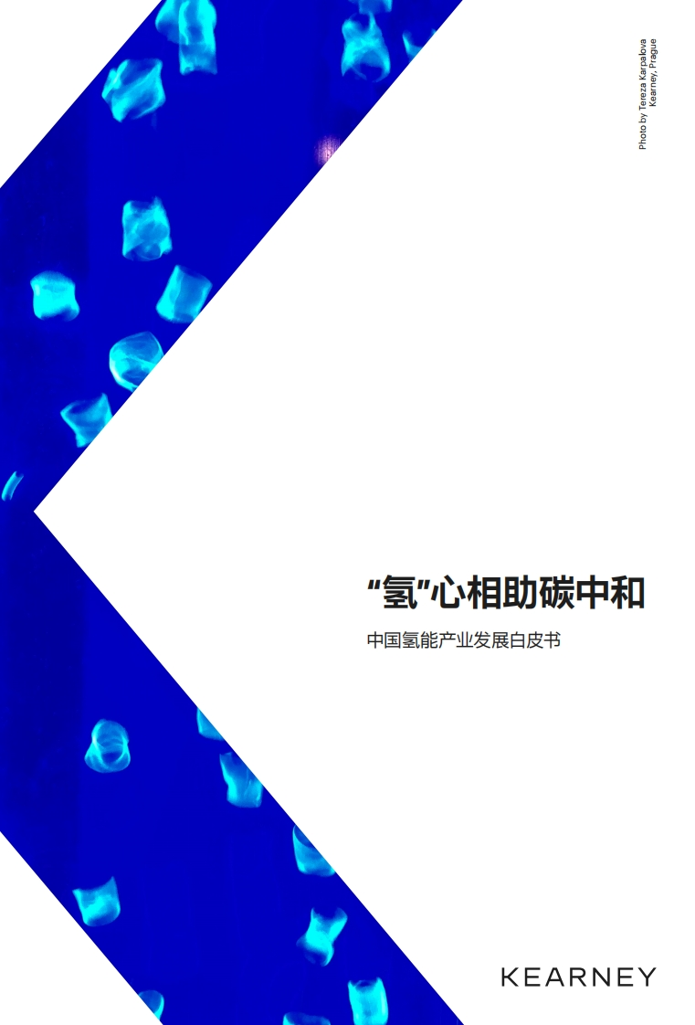 中国氢能产业发展白皮书