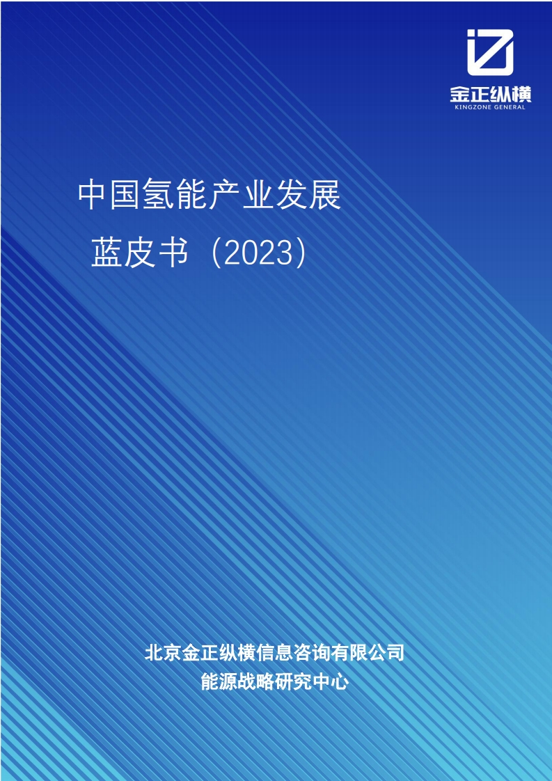 中国氢能产业发展蓝皮书-P45