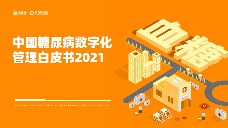 中国糖尿病数字化管理白皮书2021-35页