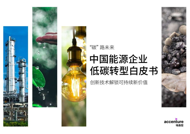 中国能源企业低碳转型白皮书