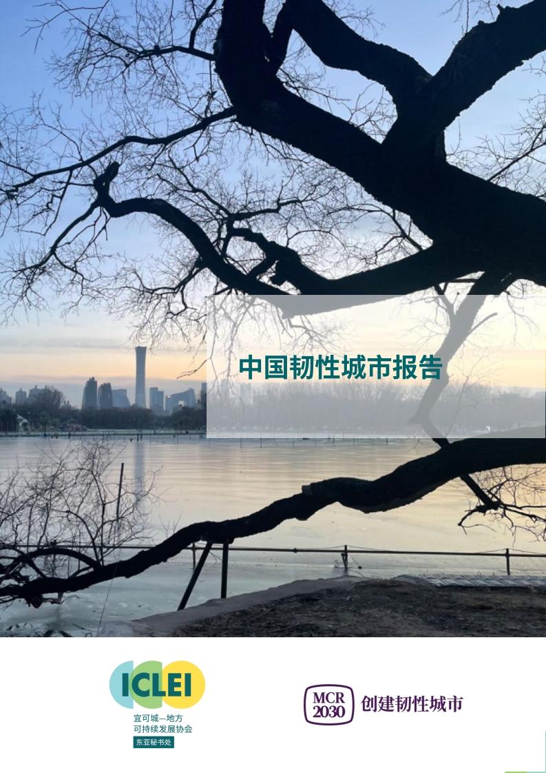 中国韧性城市报告宜可城2024