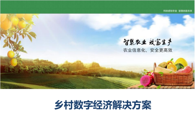 乡村数字经济解决方案