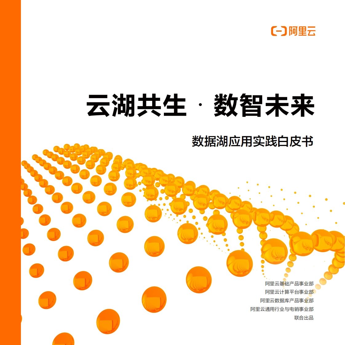 云湖共生.数智未来——数据湖应用实践白皮书