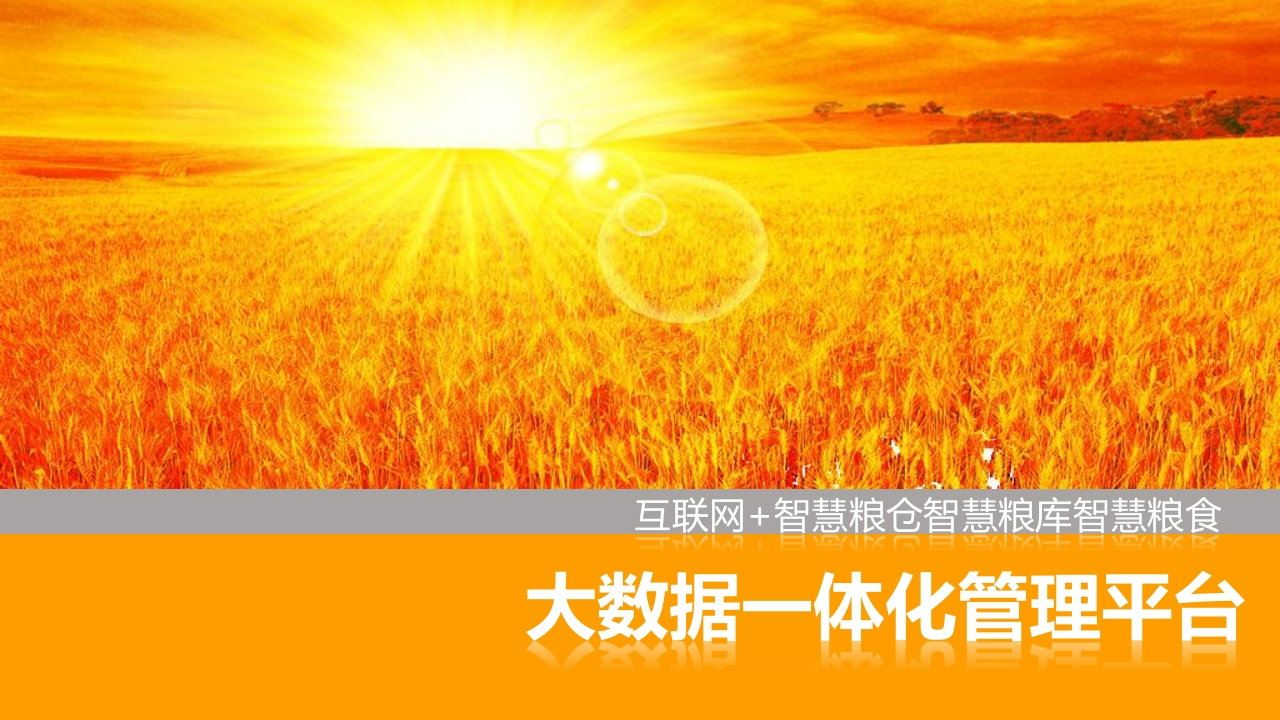 互联网智慧粮仓智慧粮食智慧粮库建设方案