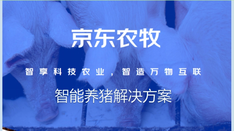 京东智能养猪解决方案