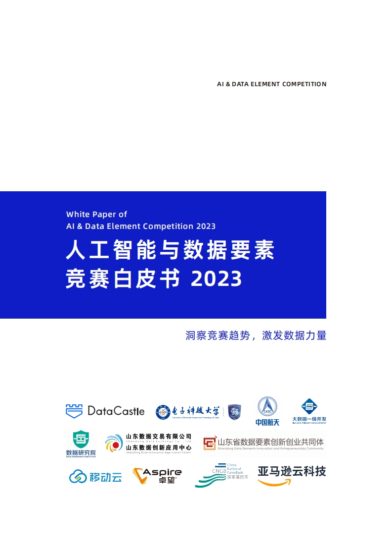人工智能与数据要素竞赛白皮书-2023
