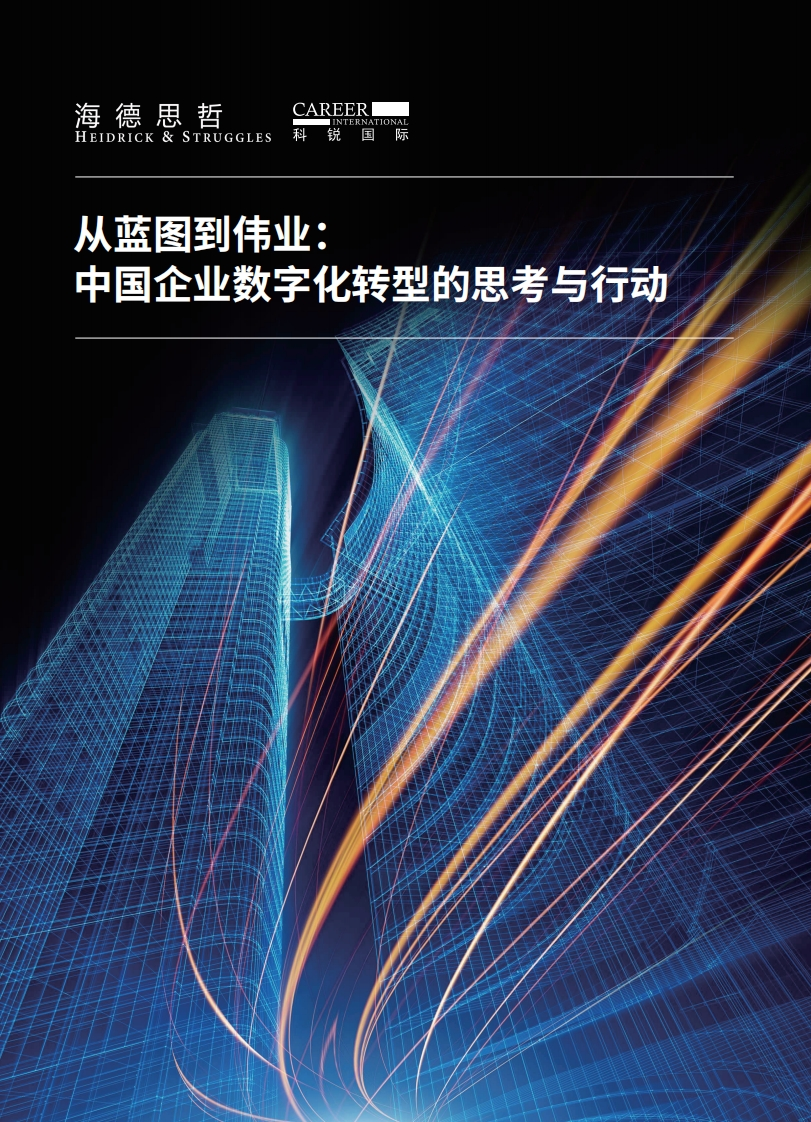 从蓝图到伟业：中国企业数字化转型的思考与行动-46页