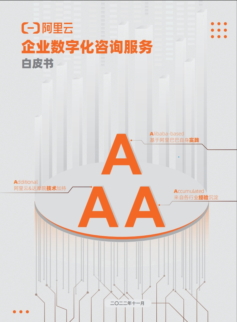 企业数字化咨询服务白皮书-30页
