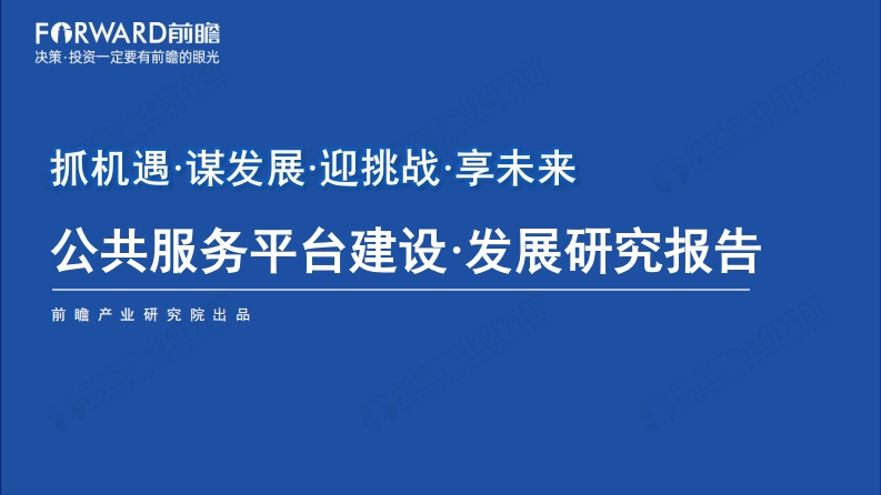 公共服务平台建设·发展研究报告