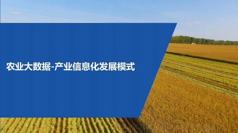 农业大数据-产业信息化发展模式探索