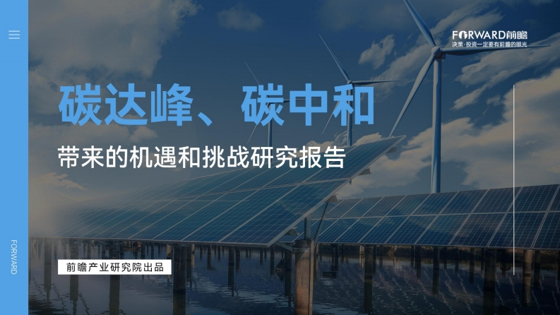 前瞻发展研究院：碳达峰、碳中和的机遇和挑战研究报告