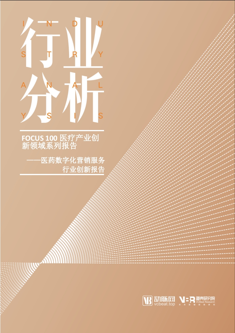 医药数字化营销服务-30页