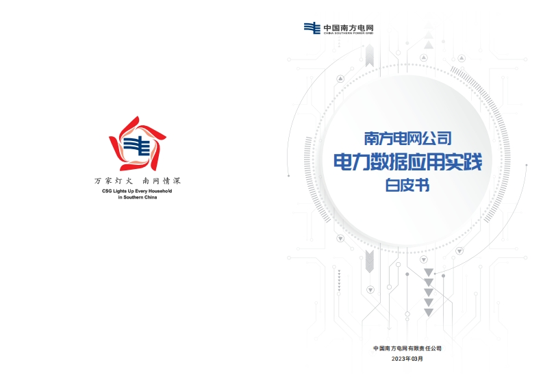 南方电网公司电力数据应用实践白皮书-41页
