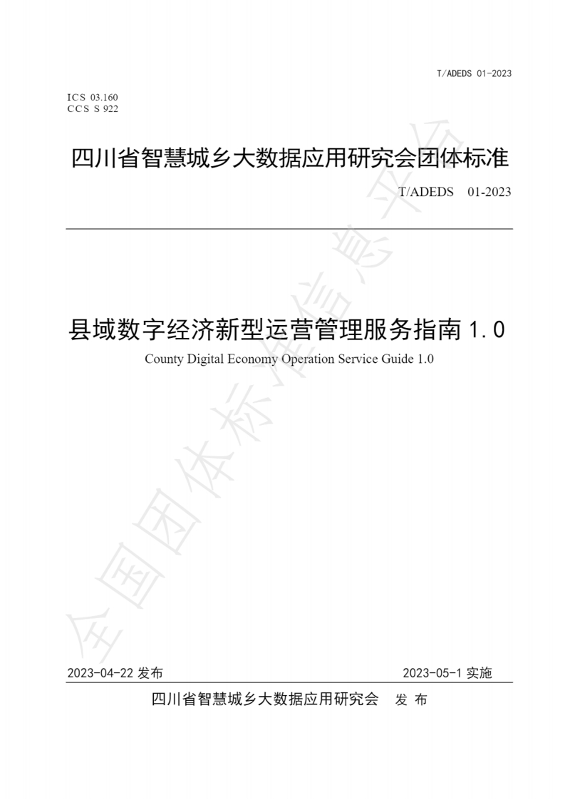 县域数字经济新型运营管理服务指南