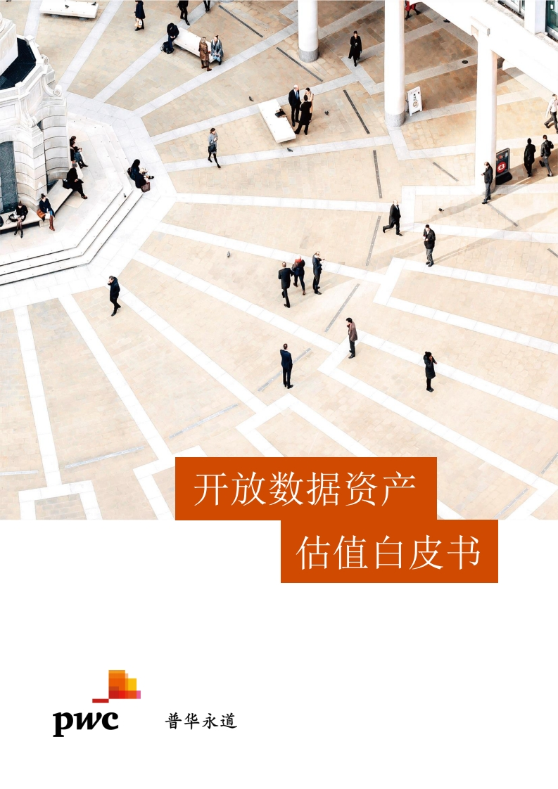 开放数据资产估值白皮书-普华永道-2021