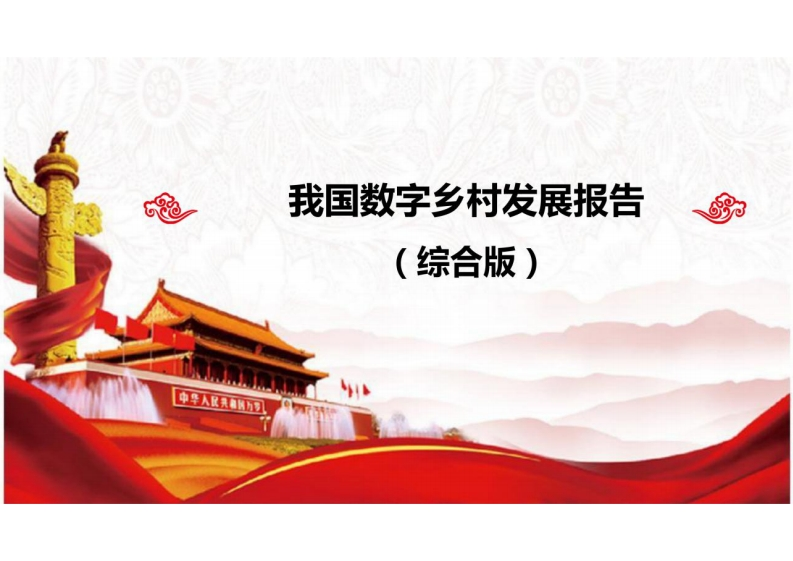 我国数字乡村发展报告（网信办）