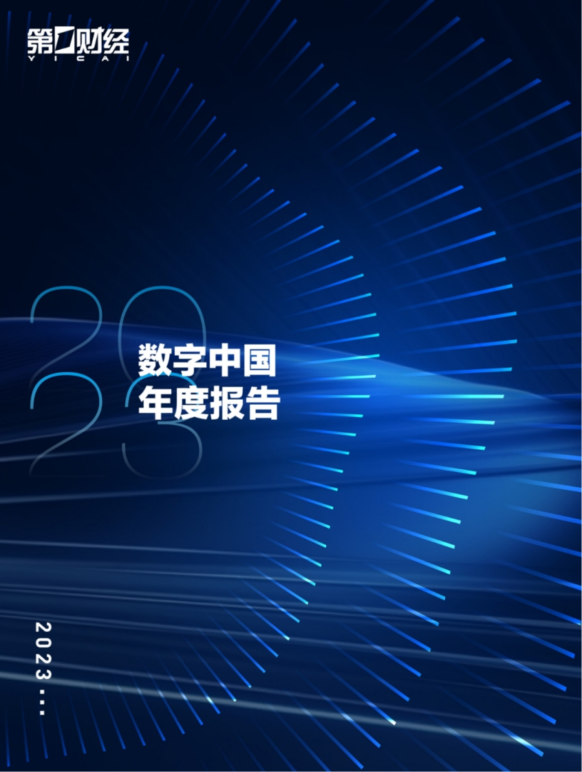 数字中国年度报告（2023）-101页