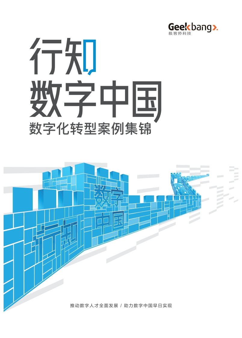 数字中国数字化转型案例集锦2023