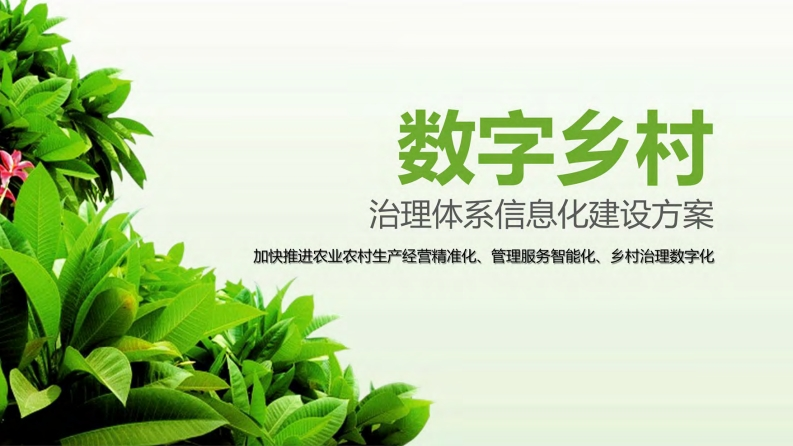 数字乡村治理体系信息化建设方案（参考）