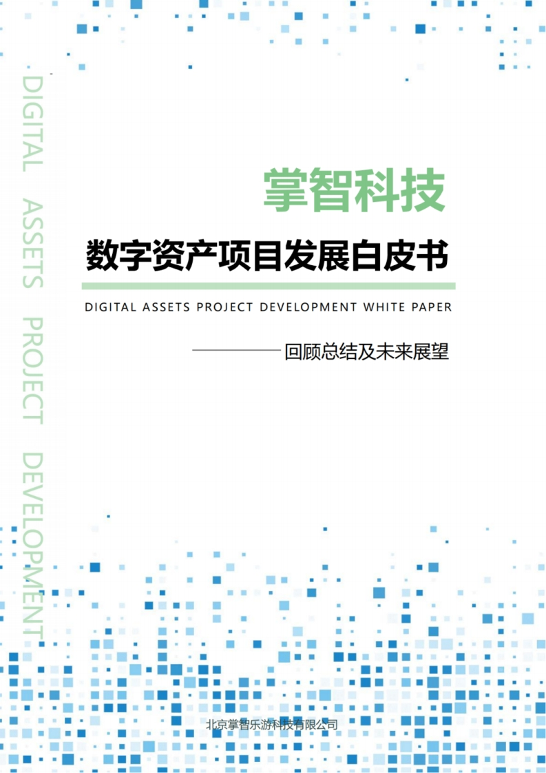 数字资产项目发展白皮书——回顾总结及未来展望-掌智科技-2024