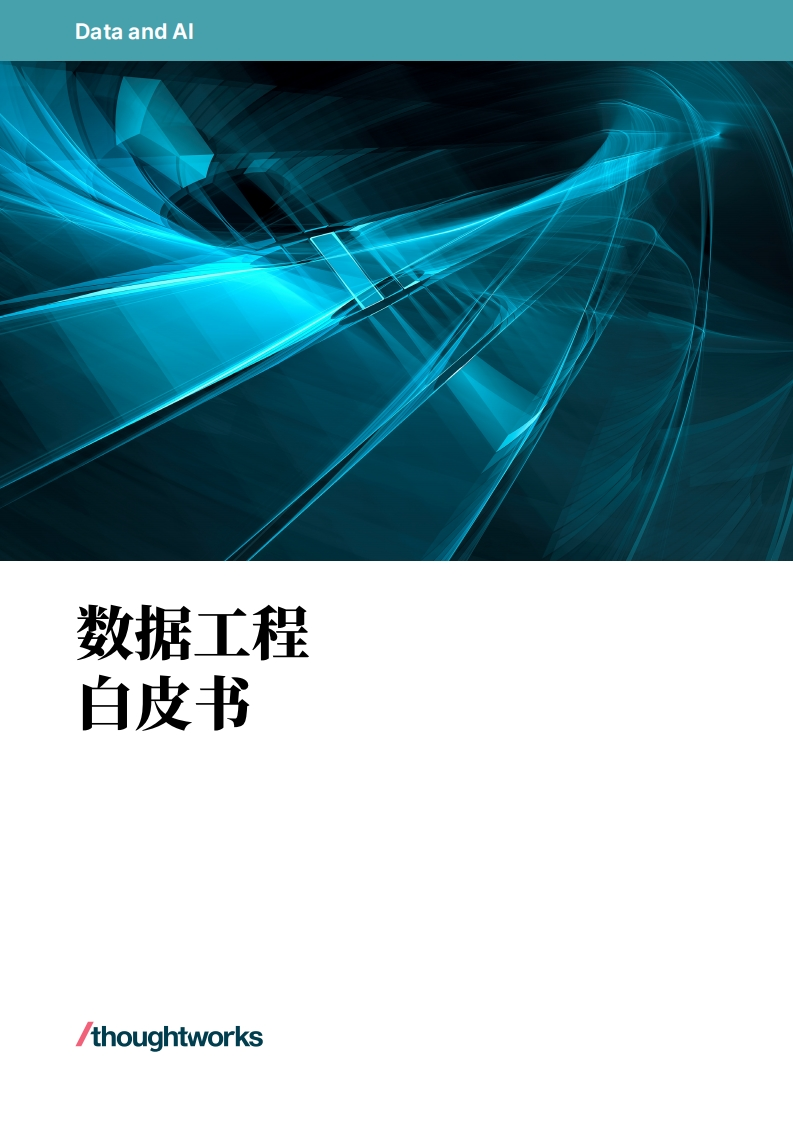 数据工程白皮书_V2