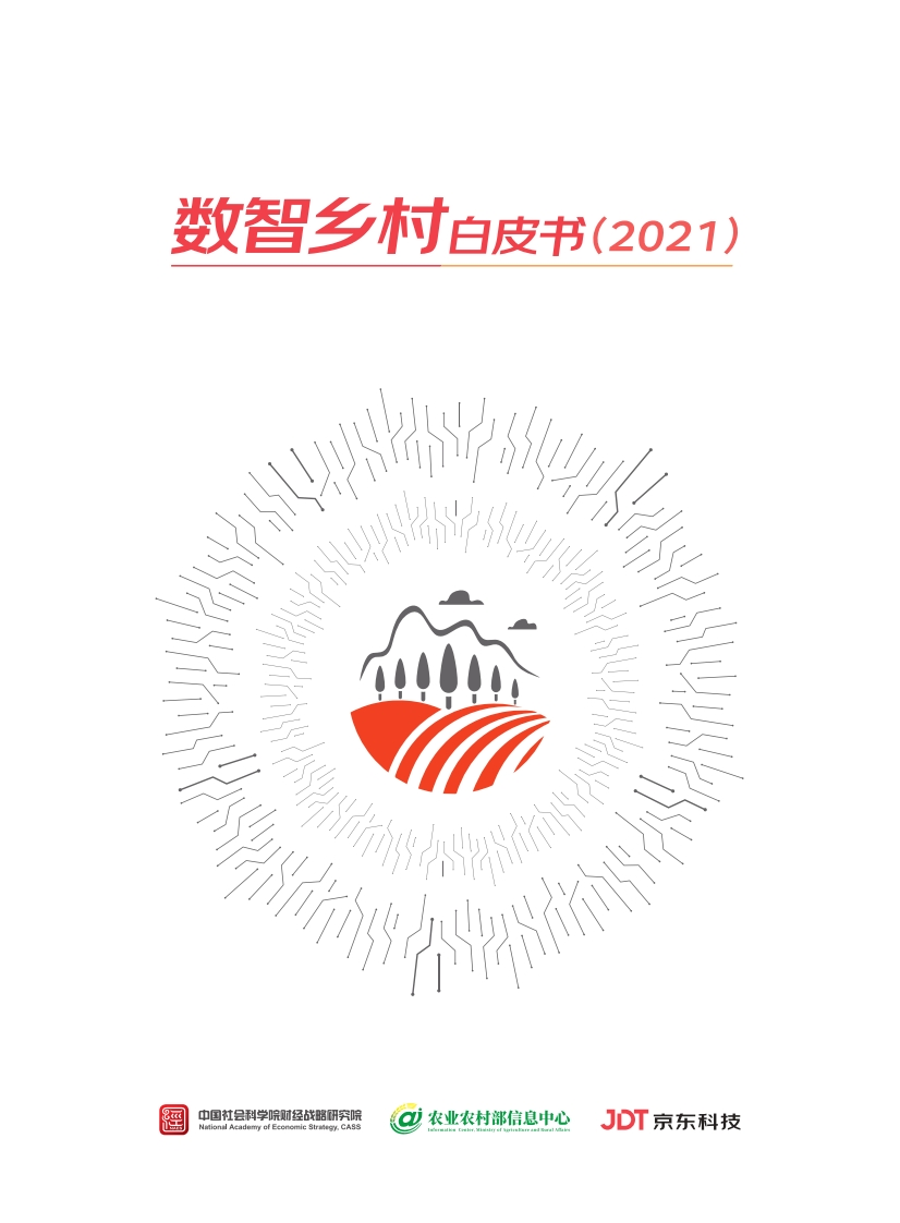 数智乡村白皮书（2021）